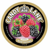Леденцы Candy Lane фруктовые лесные ягоды ж/б